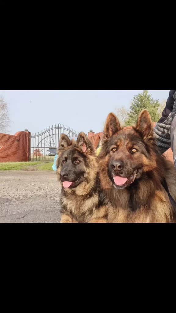 @🐶🦁Hania🦁🐶