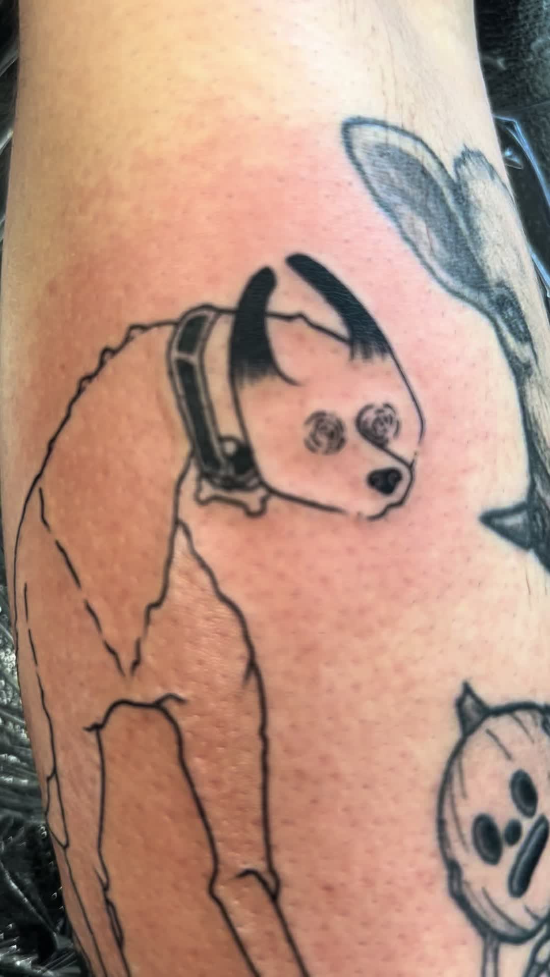 @c4m3ron