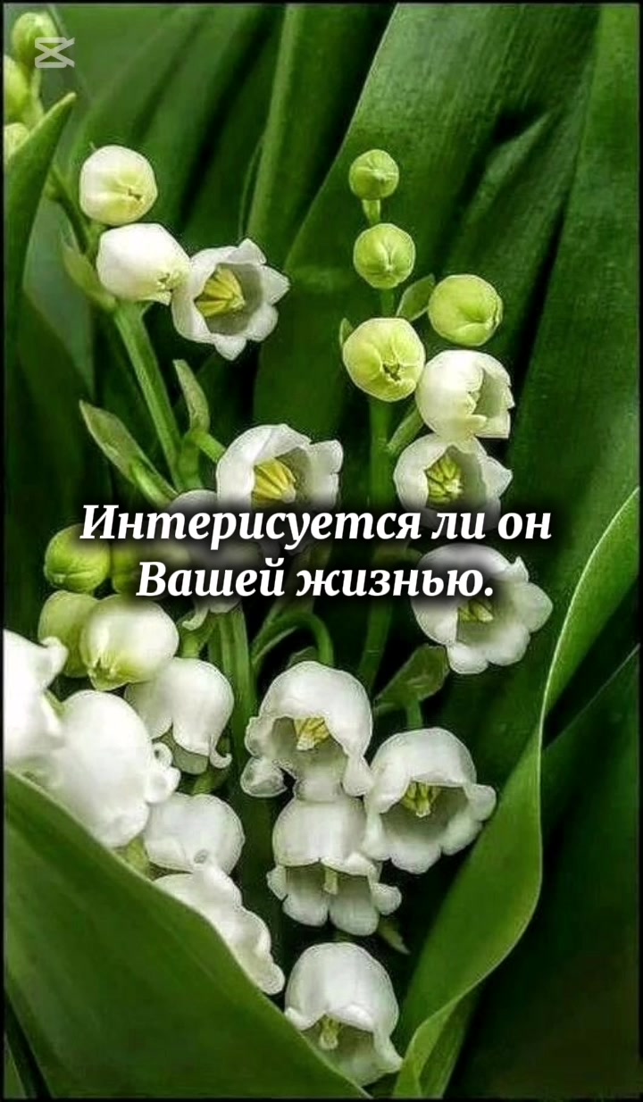 @Polli