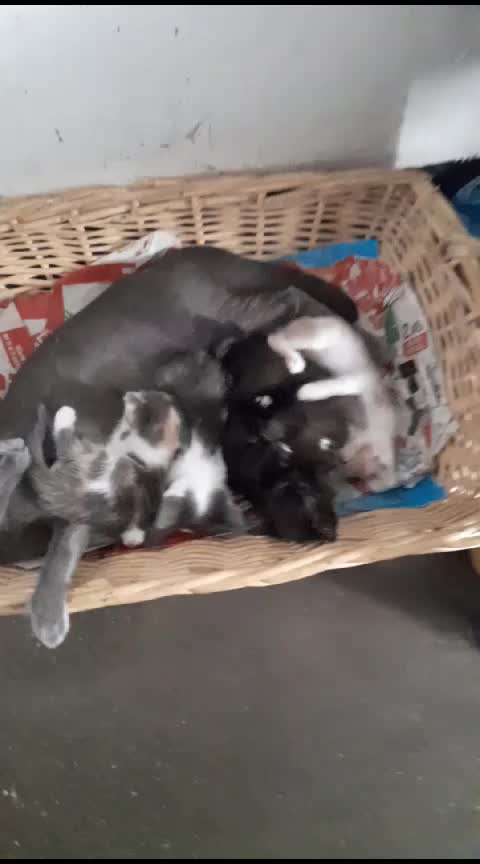 @Angelo74