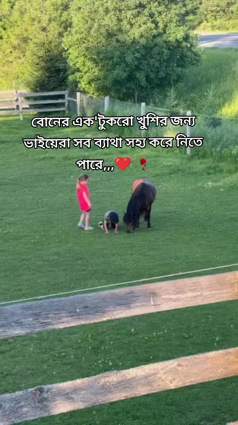 @🍁.🌿~সুবাসিনী ≈📝.📚