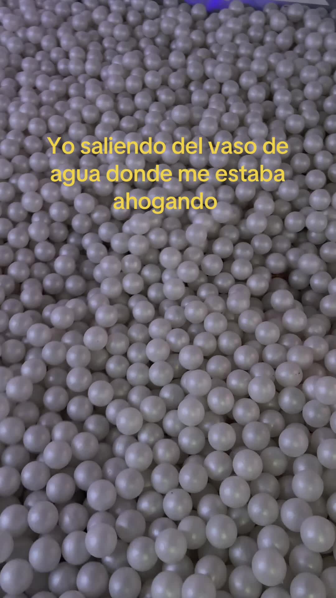 @emilybolivars