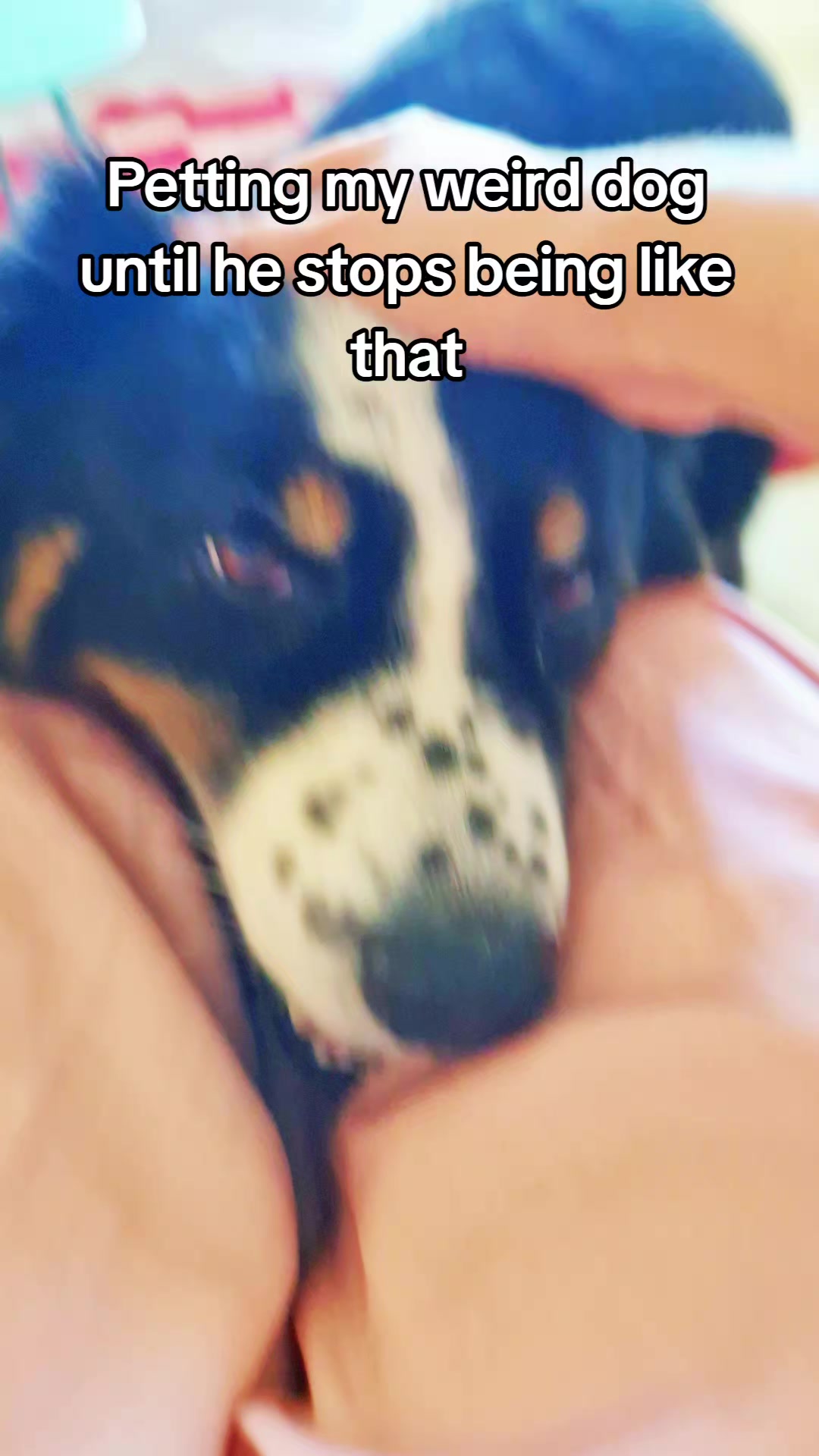 @Lofi the Aussie