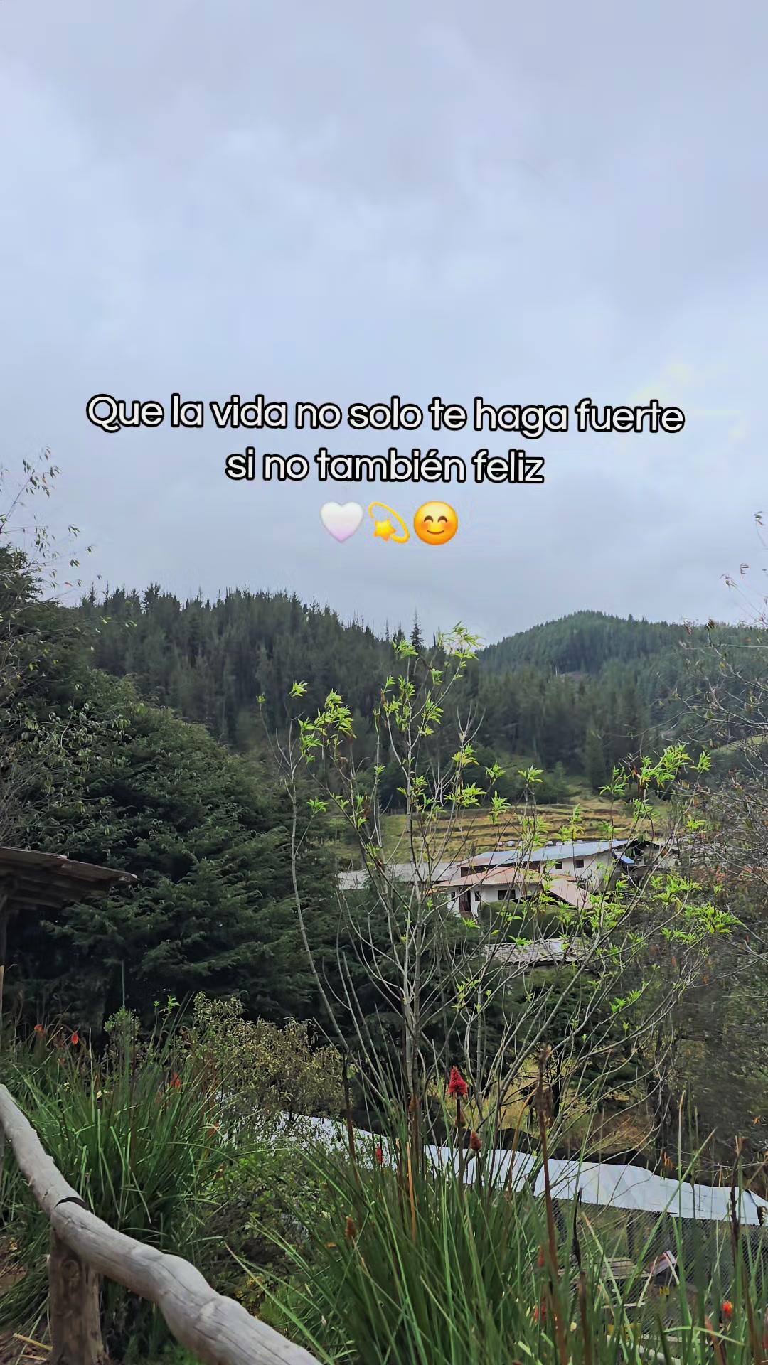@Alesy🦋