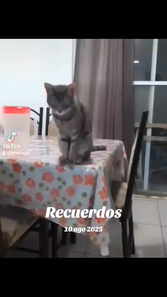 @fernyhug
