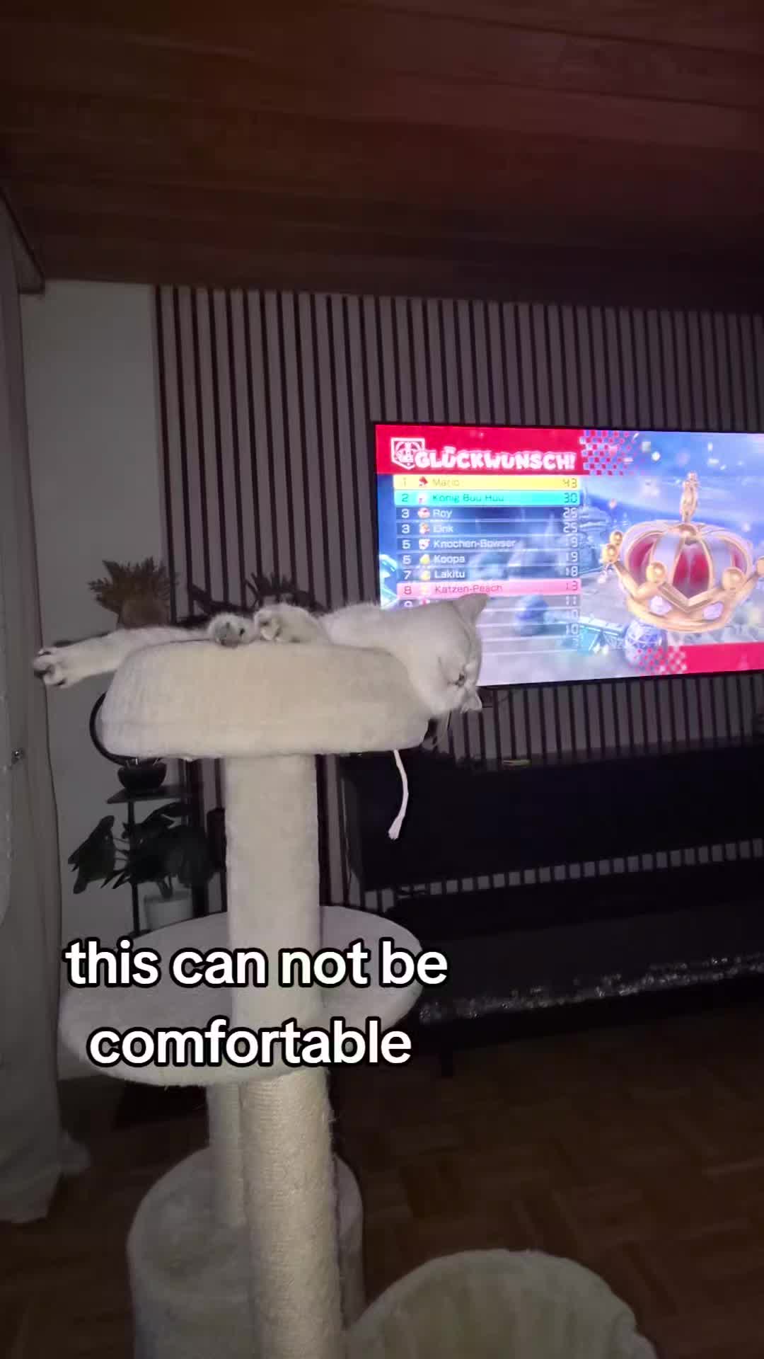 @😽