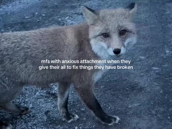@plpax