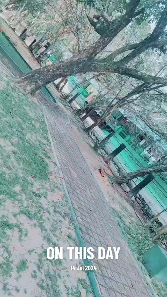 @๐
ณ๐๐๐
ถ๐
ฐ ๐๐
ธ๐
ณ๐
ท๐
ฐ๐
ฐ๐๐