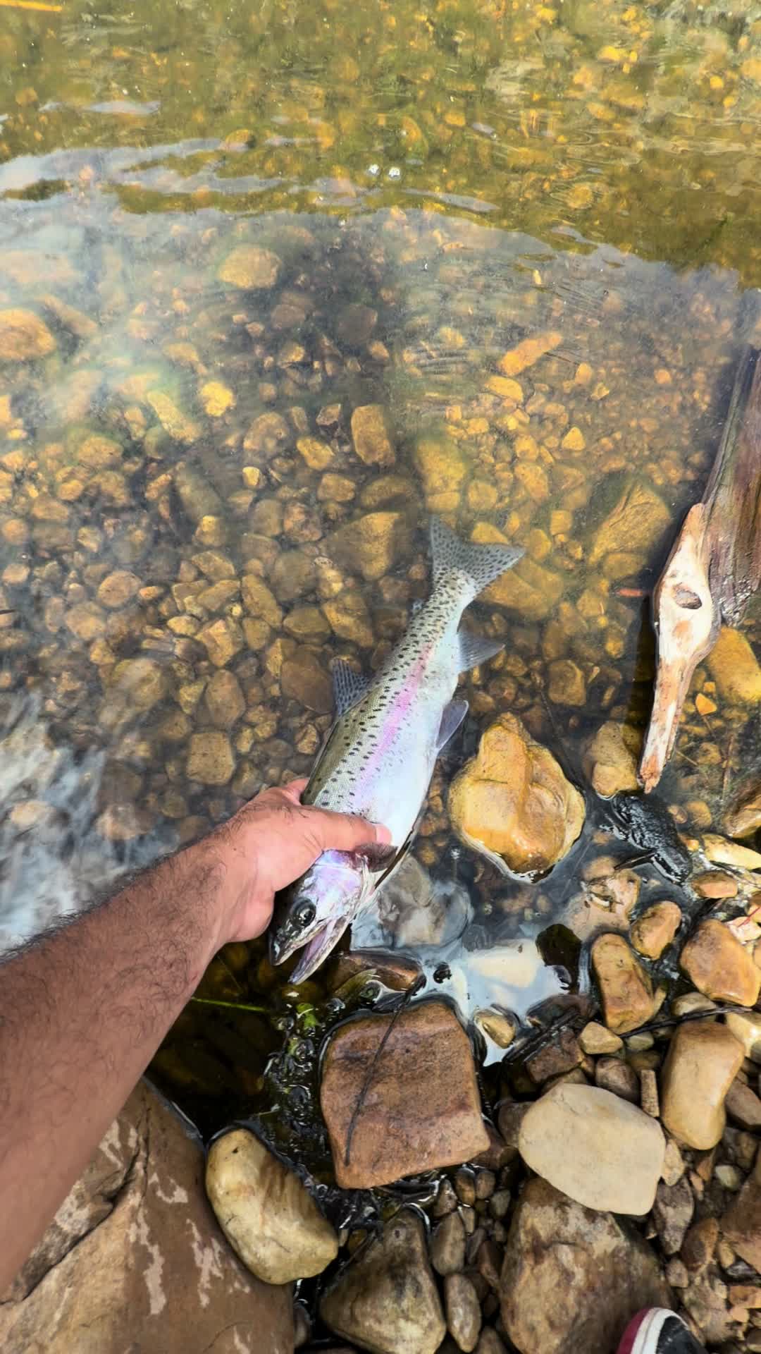 @David explore Arizona 🌲🎣