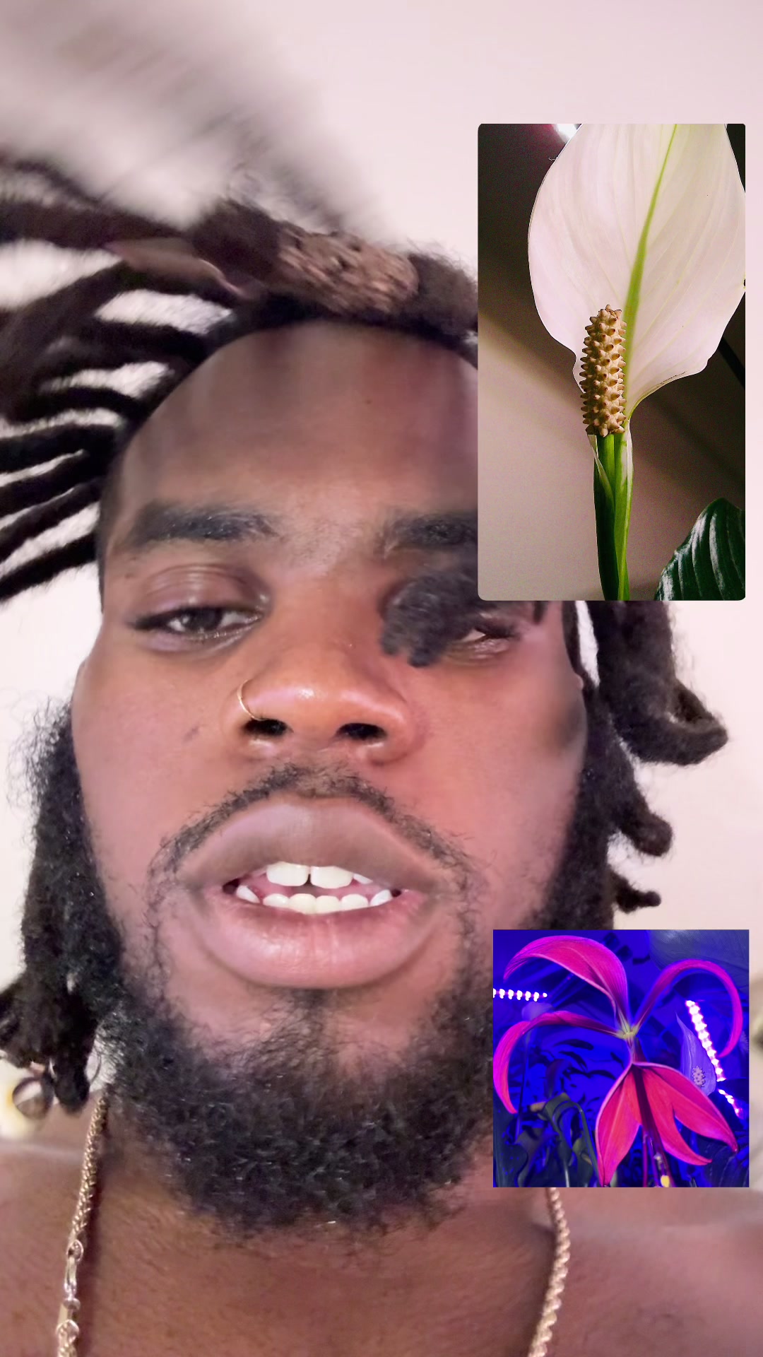 @Plant daddy Sir