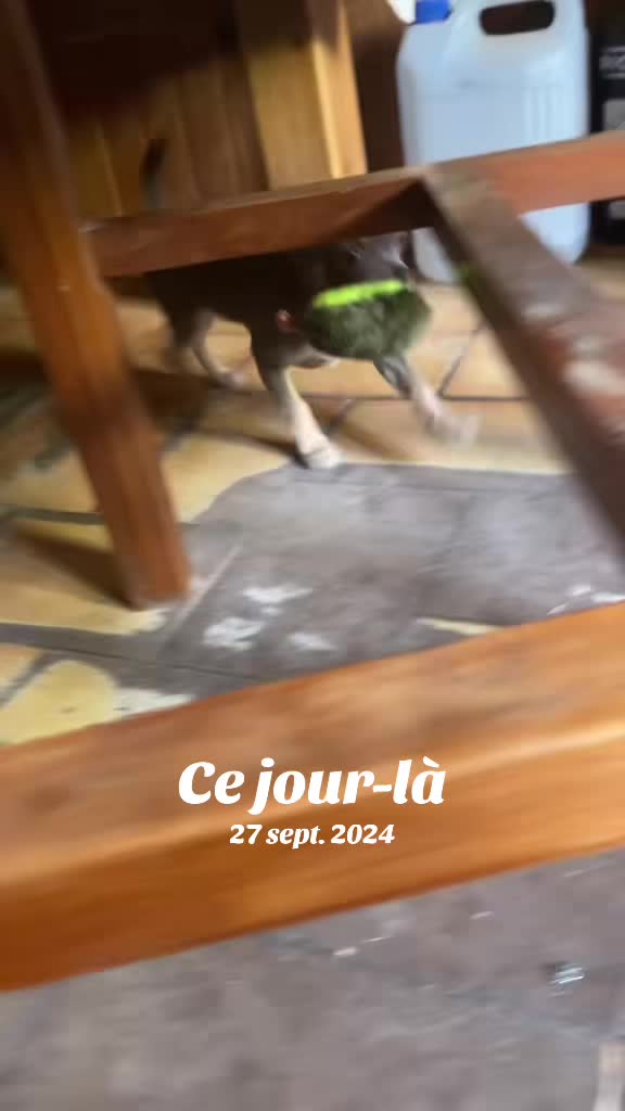 @Chatchientok