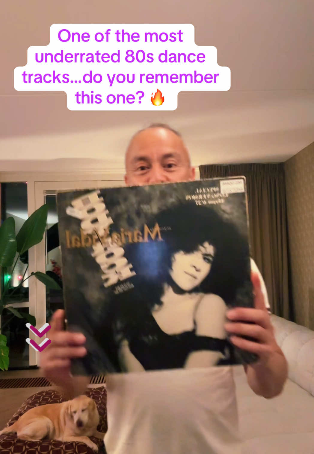 @Mike’s Vinyl Vault
