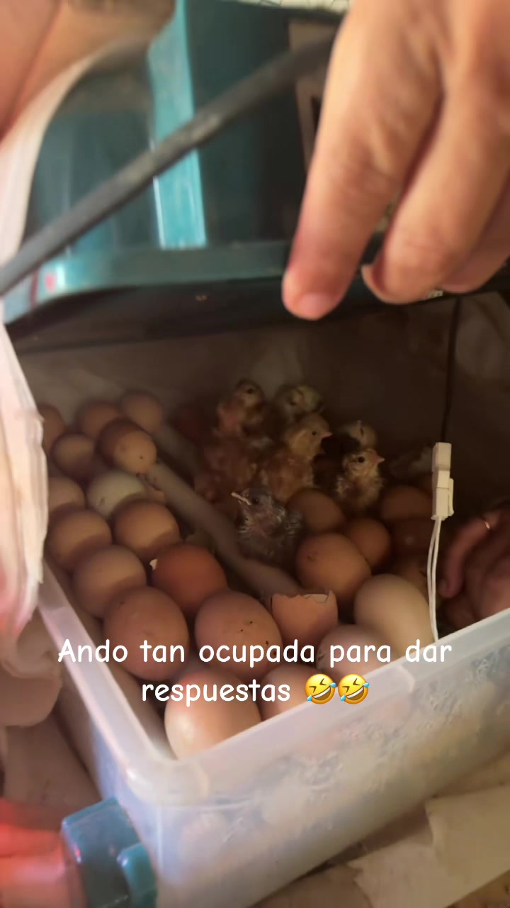 @Hernández 🥰🥰