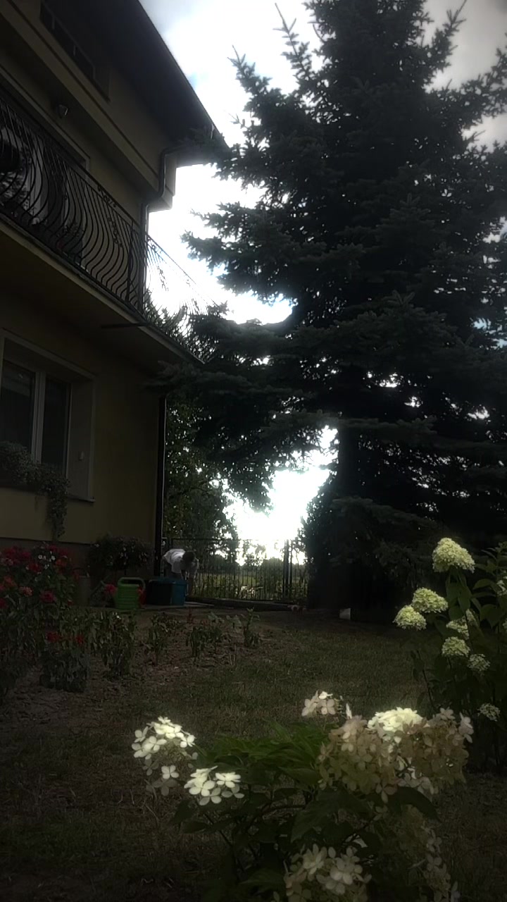 @⸝⸝⸝ ɗ⍺ȵƙ᥉ 🪽ׅ ✧