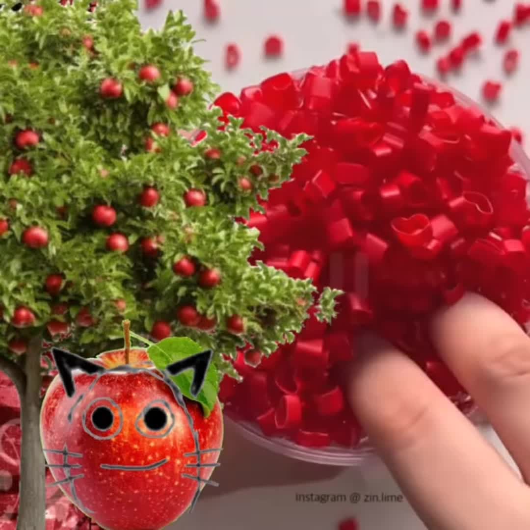 @🥚Данькин Доллар💵