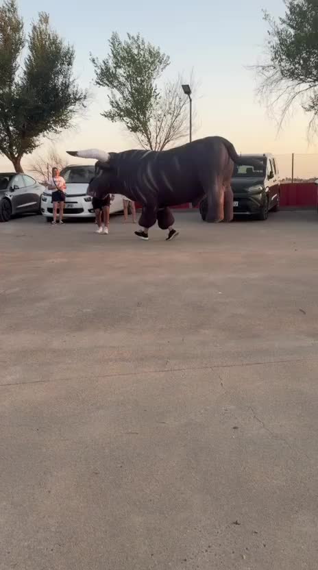 @tirsocarranzamart