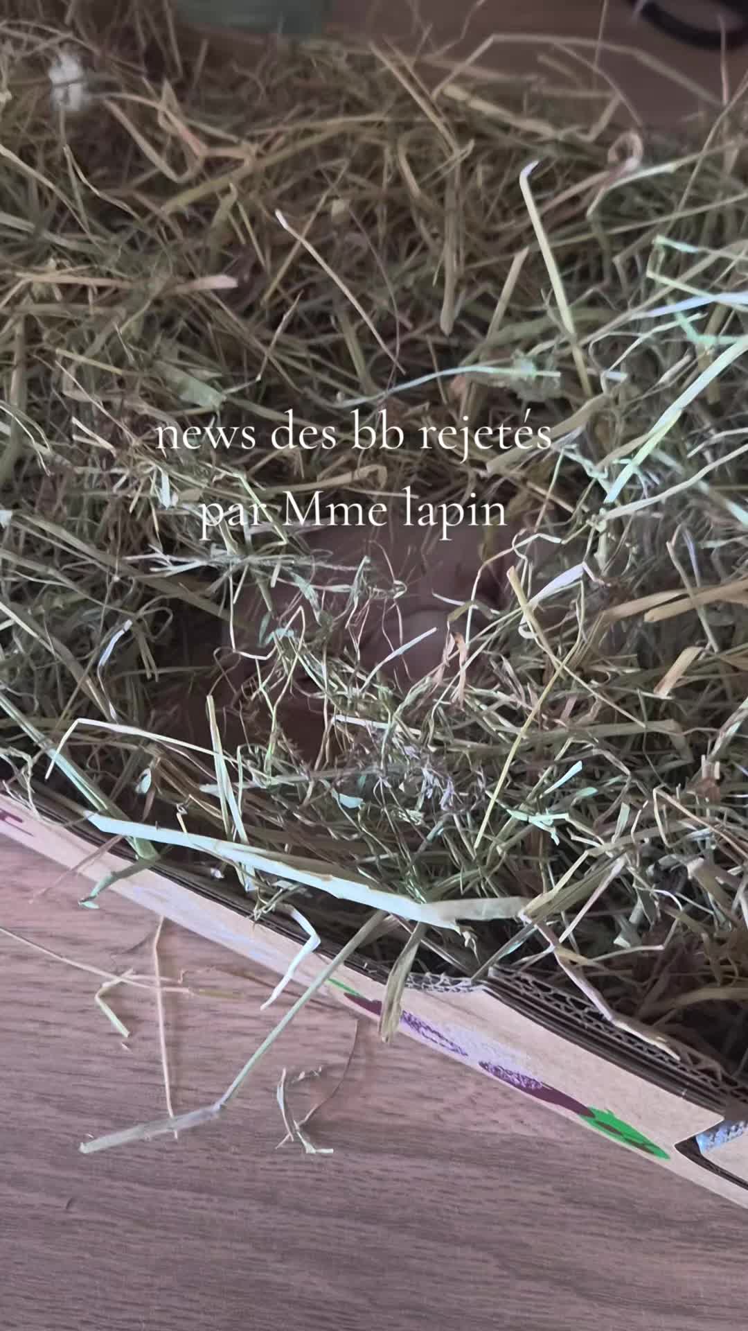 @SO