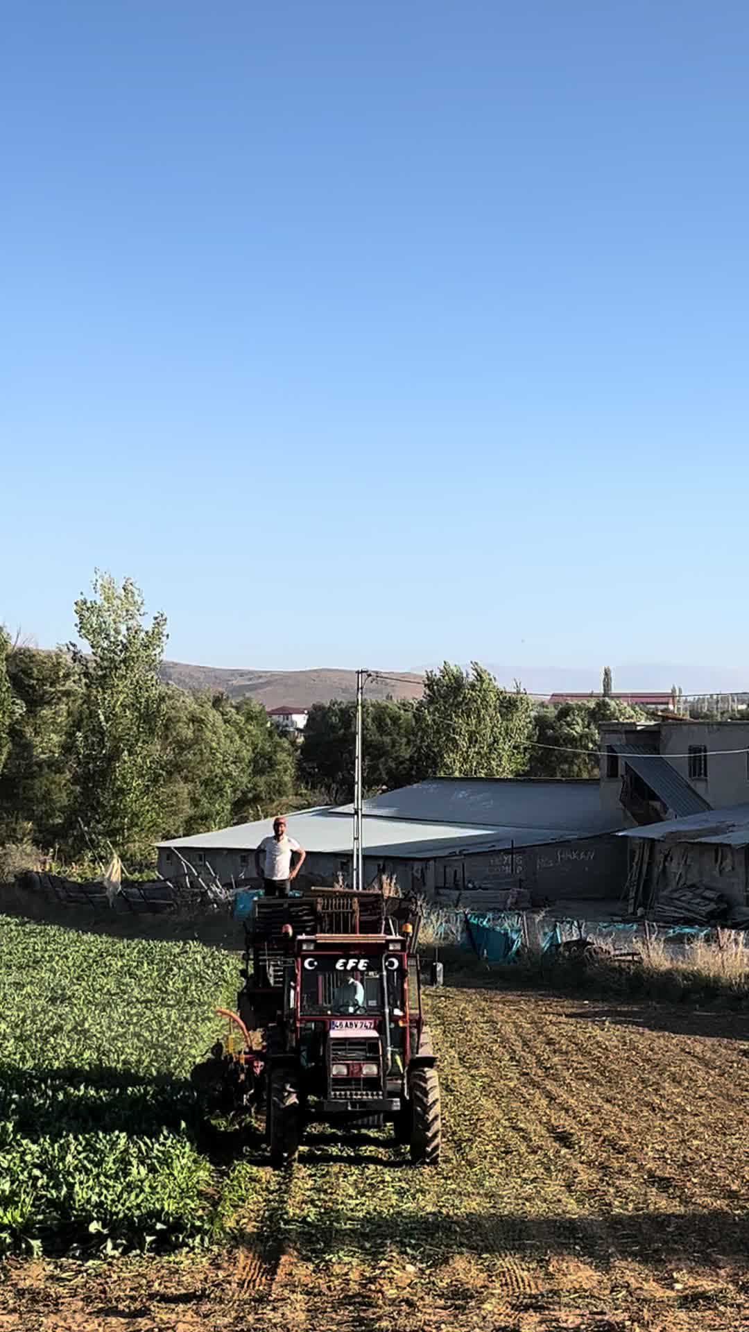 @EFE IŞIK