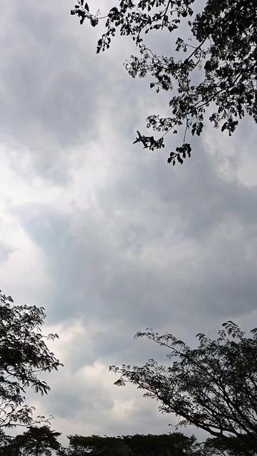 @VARIO BIRU SELATAN 🔥