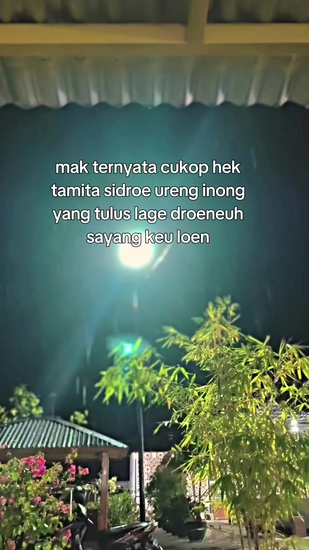 @ZUL_🕸