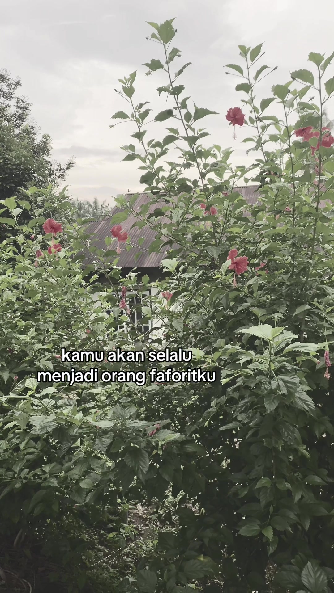 @Kamu ga papa?