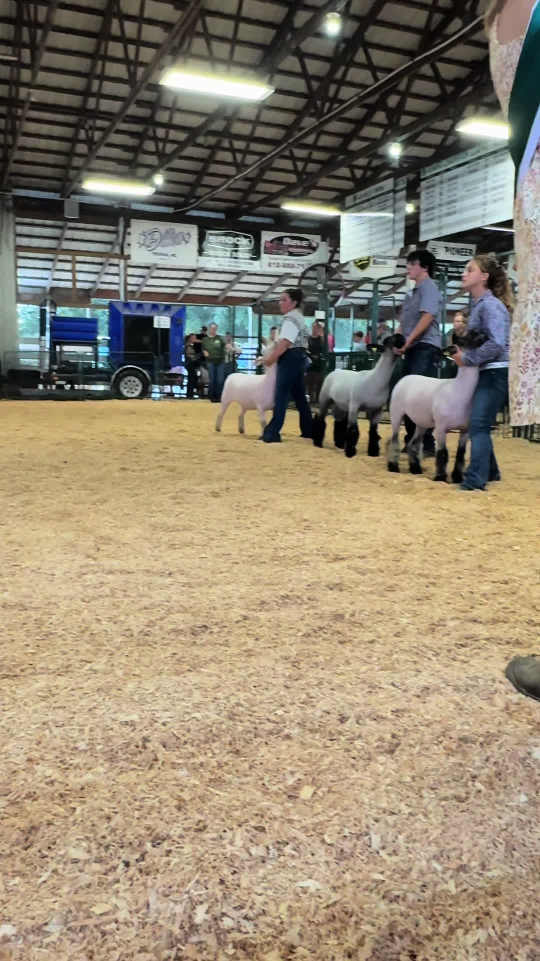 @Knox County Fair | Indiana