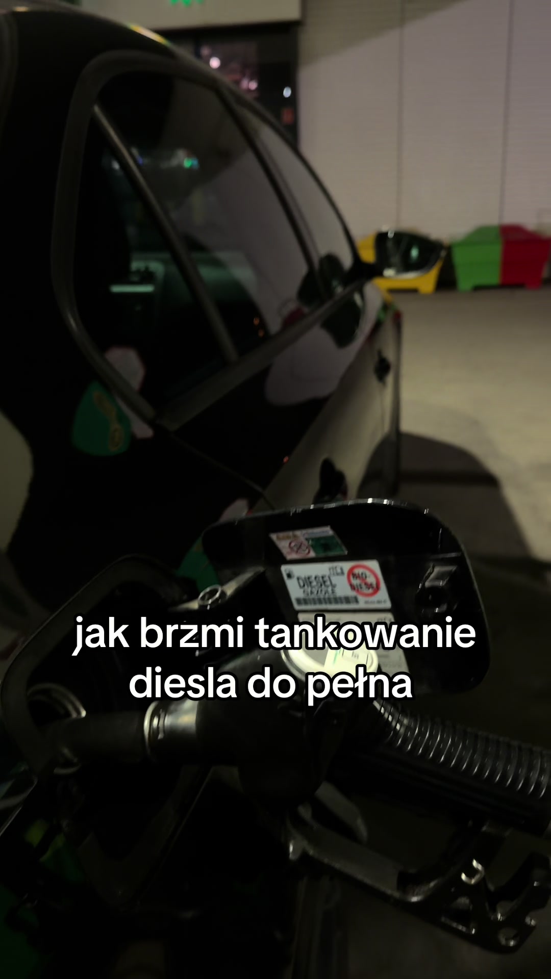 @sandra 🦦
