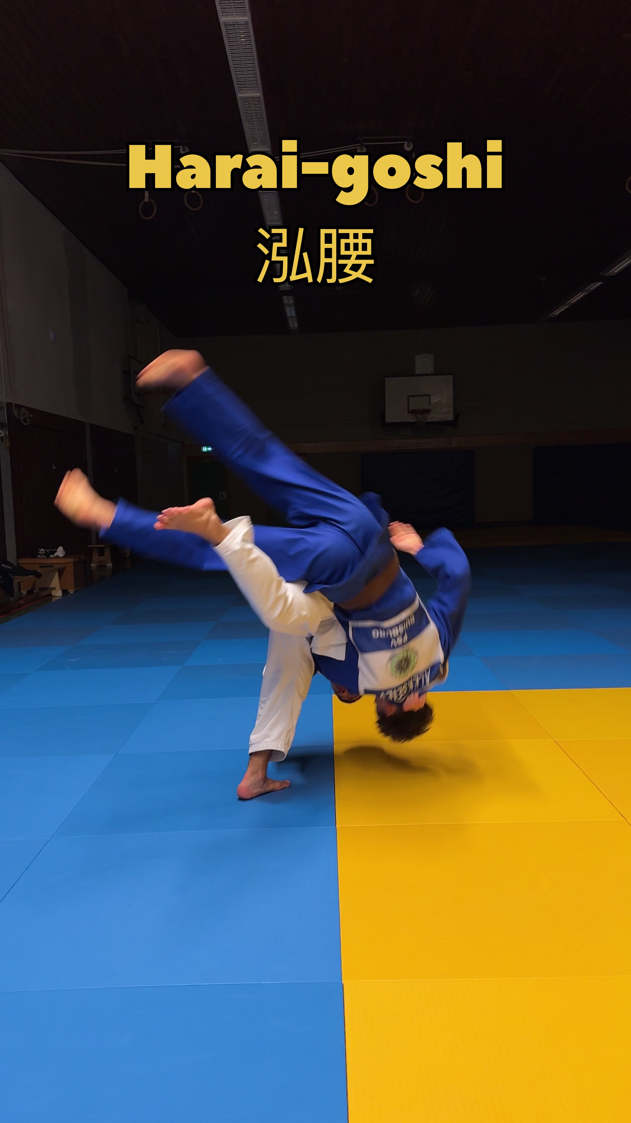 @Cyber-Judoka