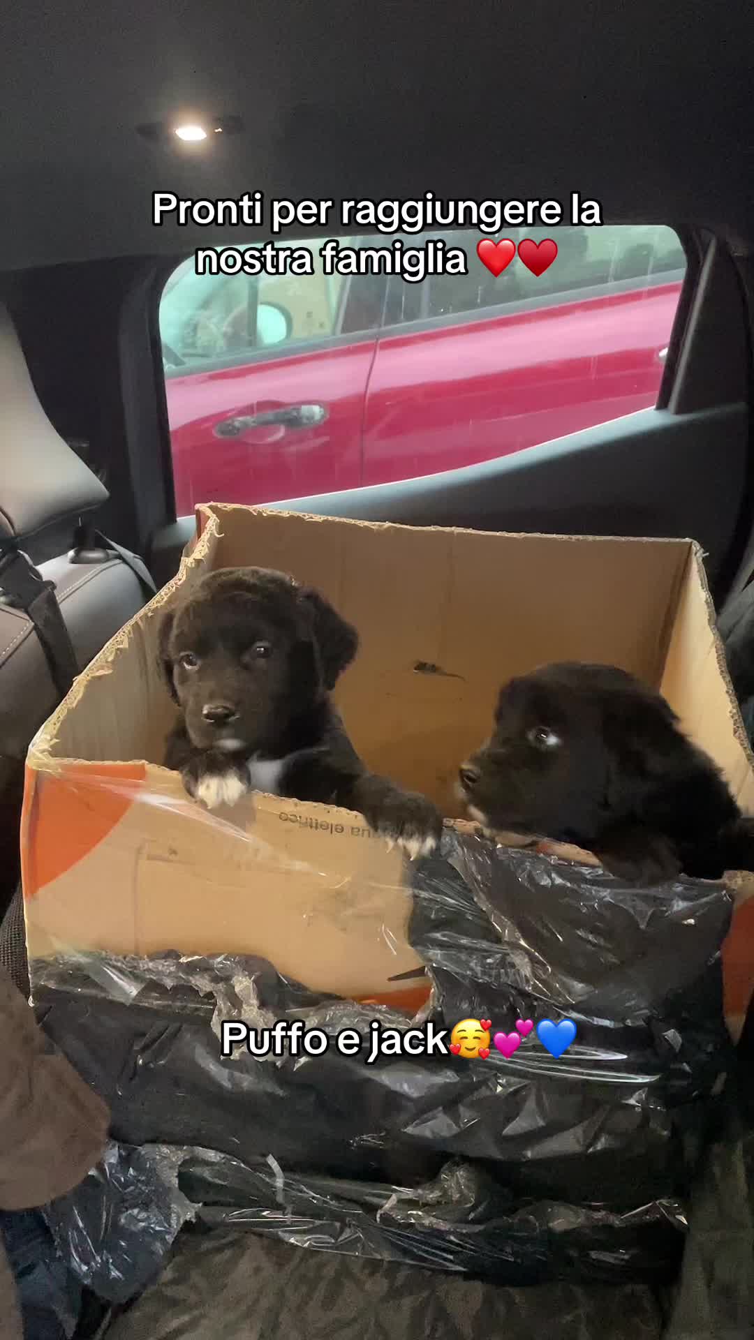 @KIRA❤️LEYLA💙