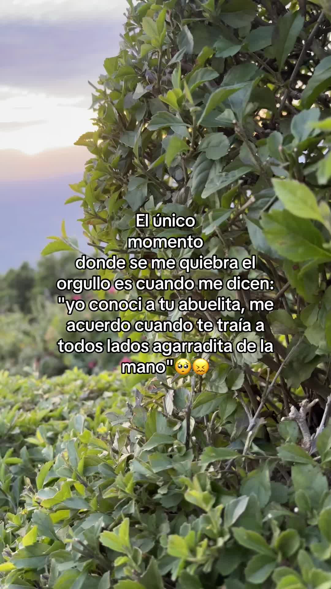@Evelinaruiz🎀