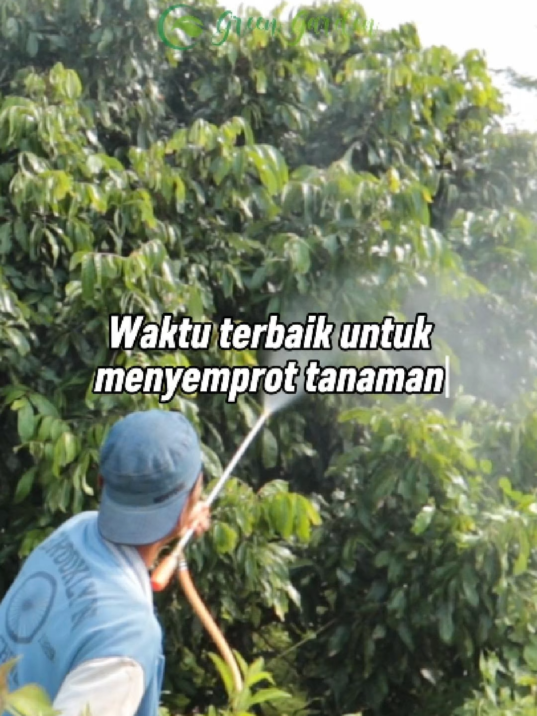 @adyrajalengkeng