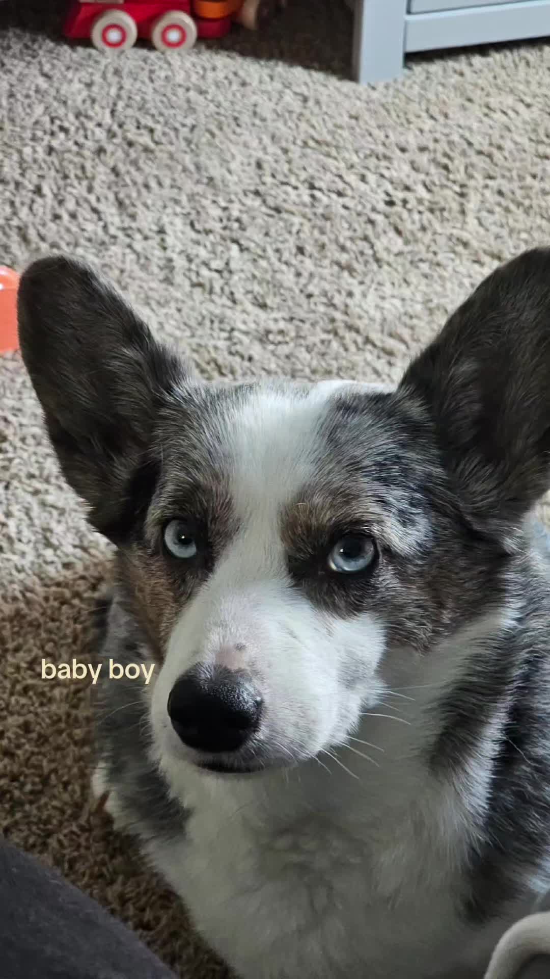 @Nexttoargyle