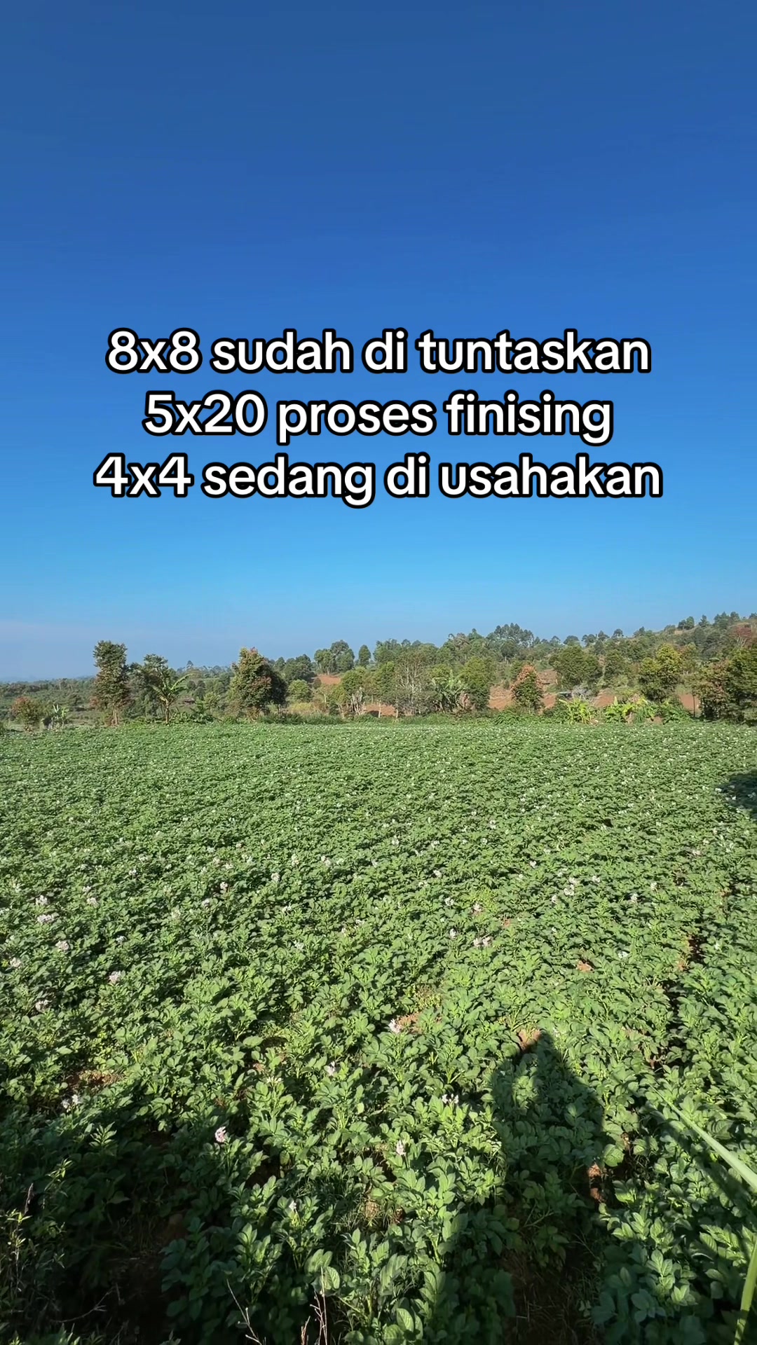 @nanda_setiawan_