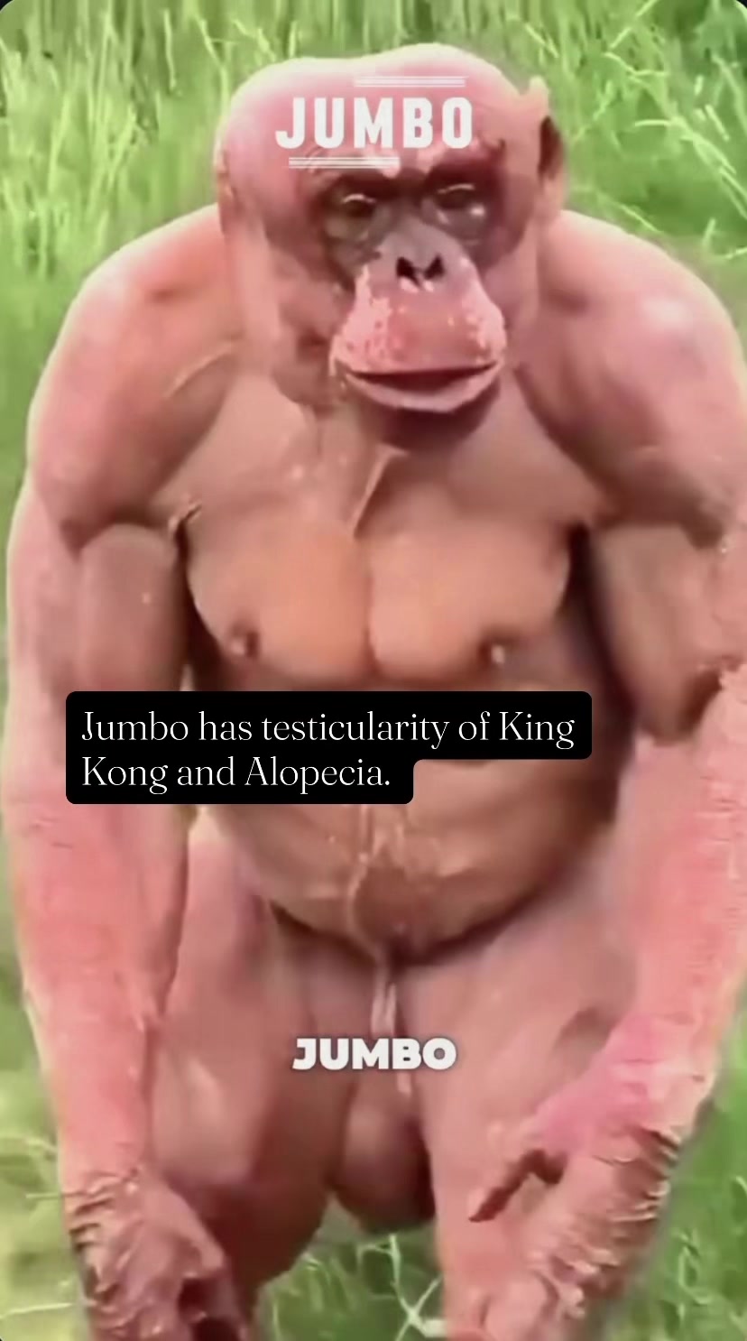 @CreaturePreacher