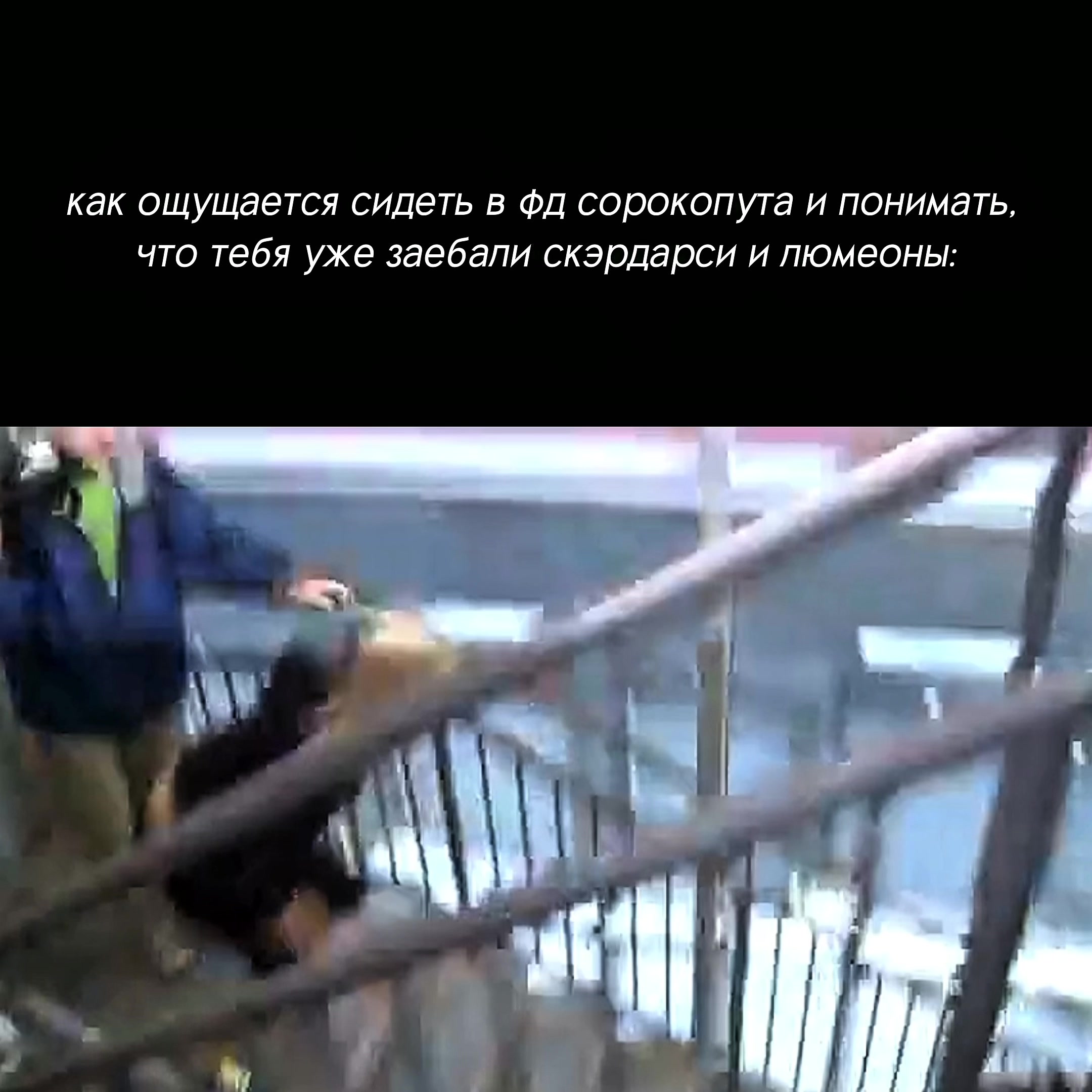 @бесовский крысолов