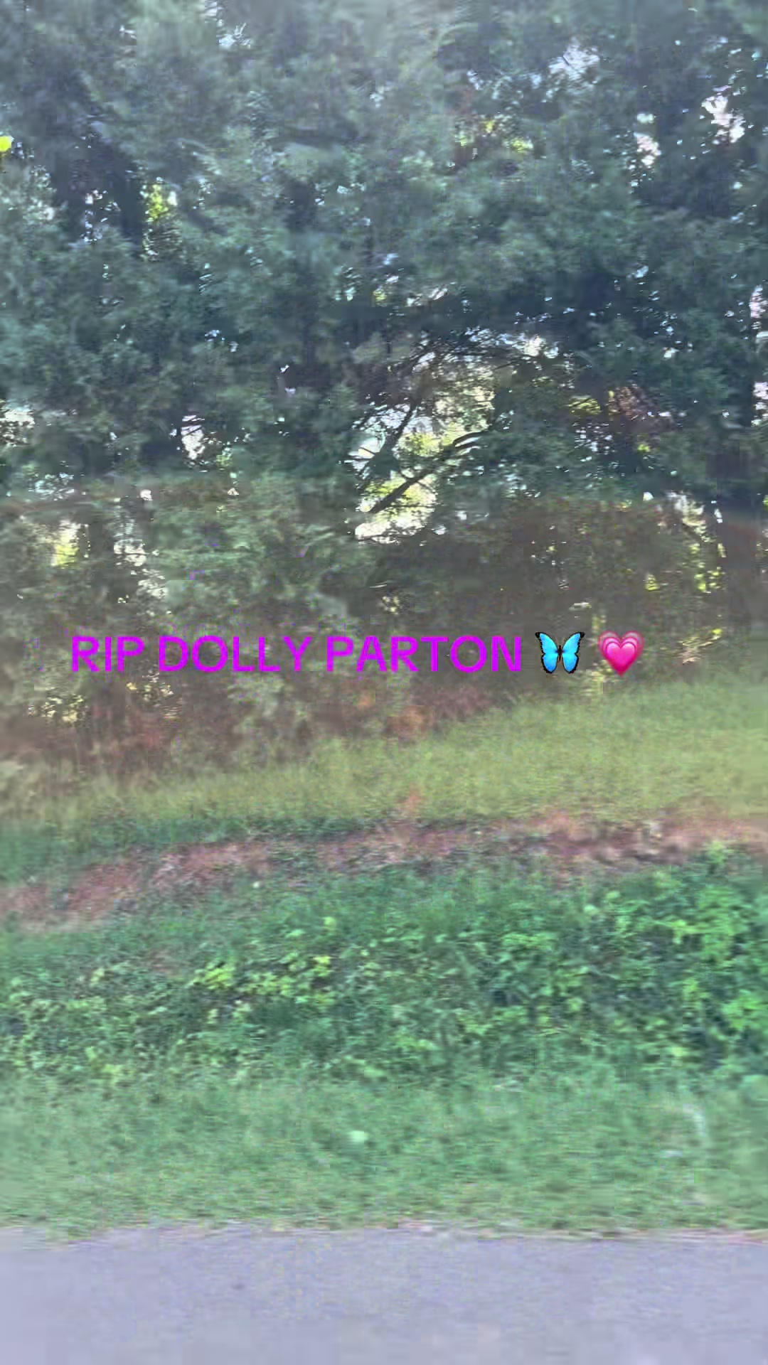 @🩷Haley💙• WFHmama