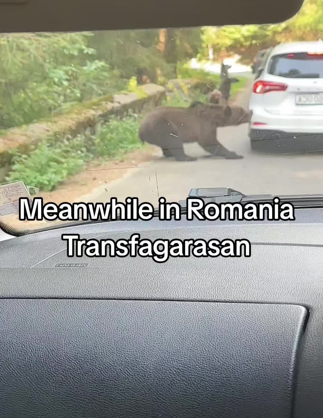 @♋️☆𝙂𝙮𝙣𝙤_the godfather☆🔵