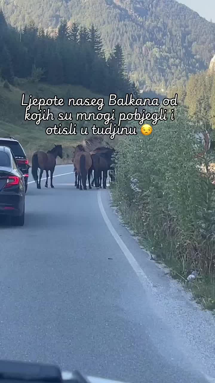 @❤️ŽENA_ZMAJ❤️