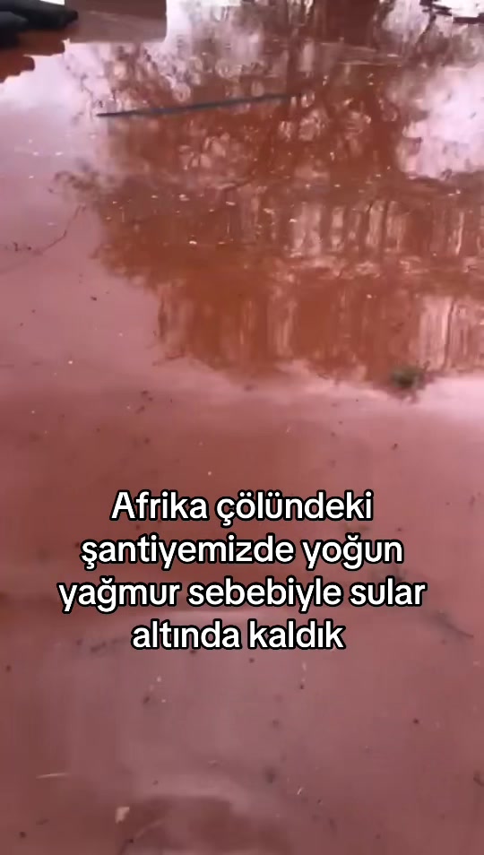 @Yalin kaya