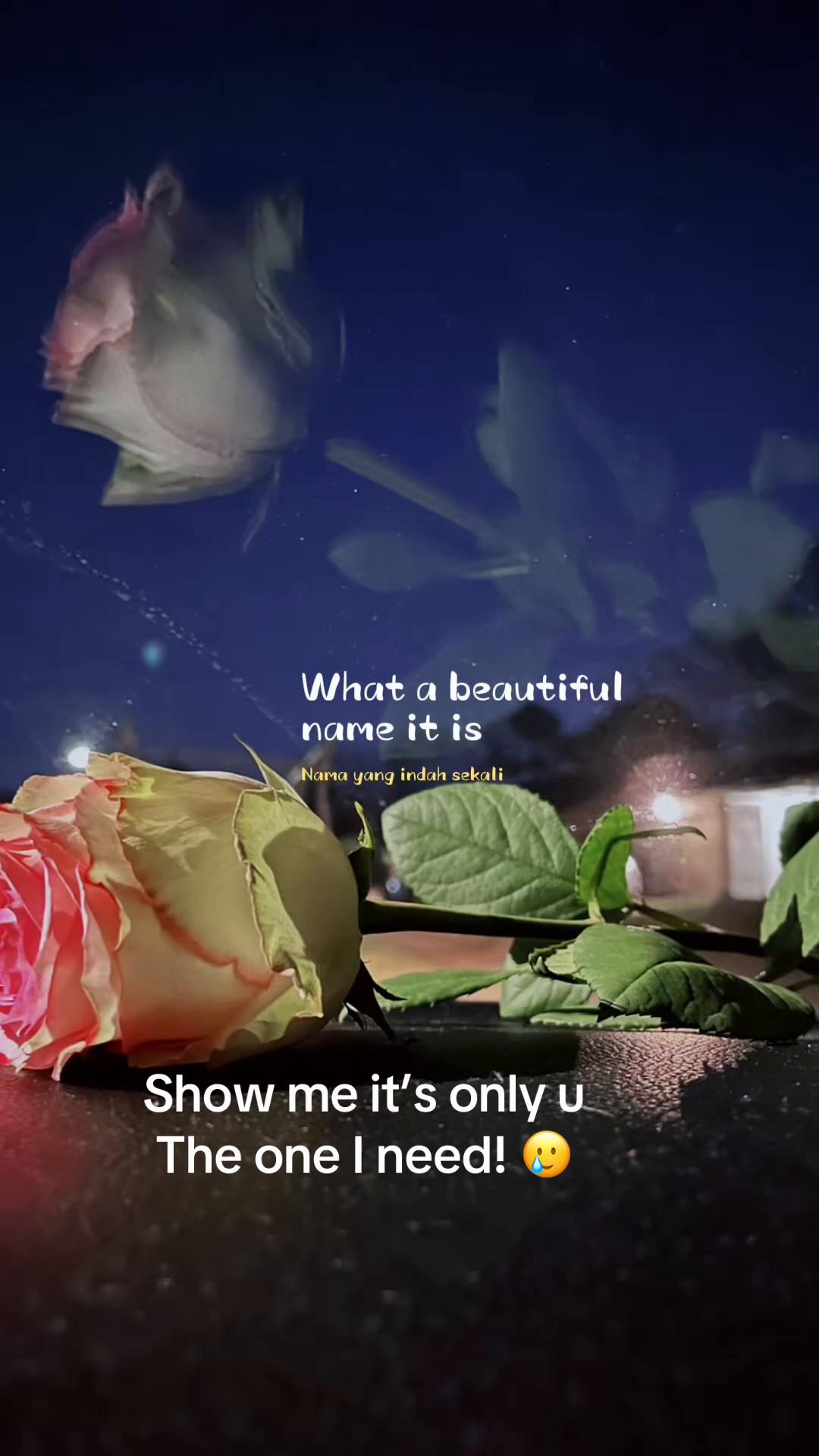 @MaraHi
