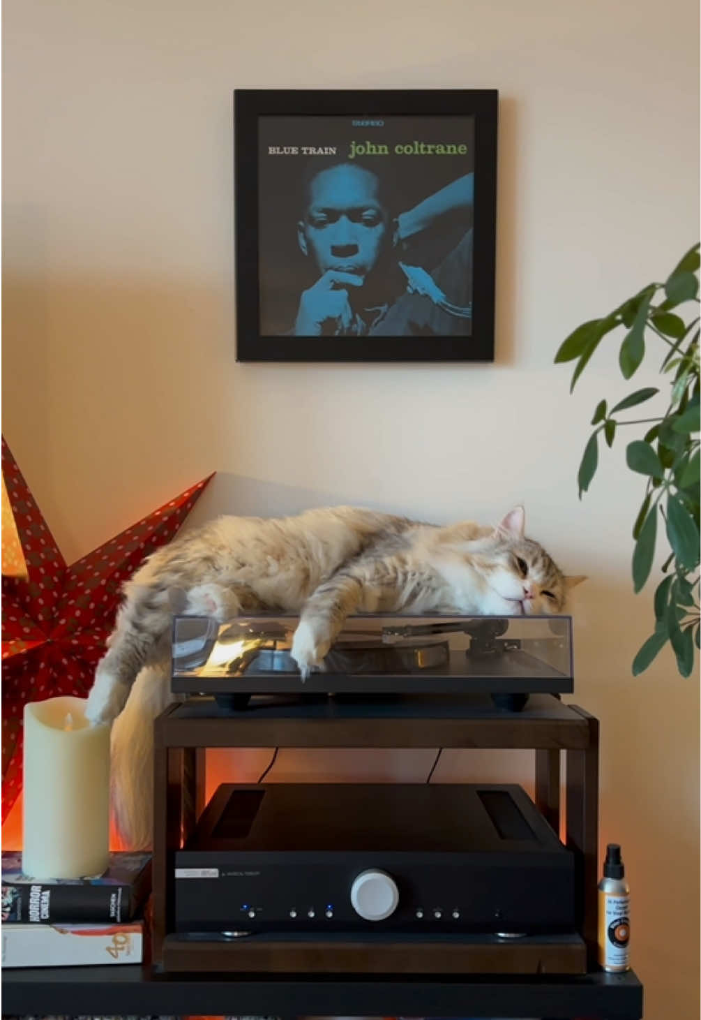 @Leon The Vinyl Cat