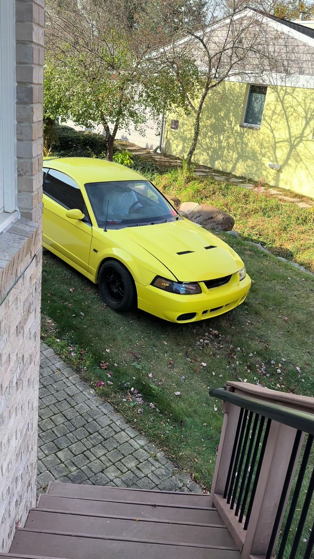 @3_pedal_family
