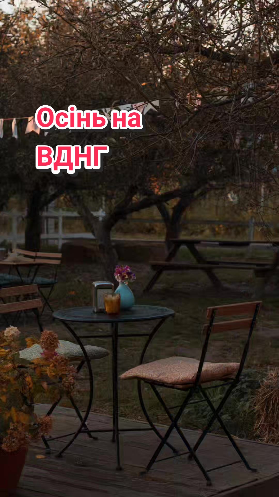 @Євгенія Грищенко 220