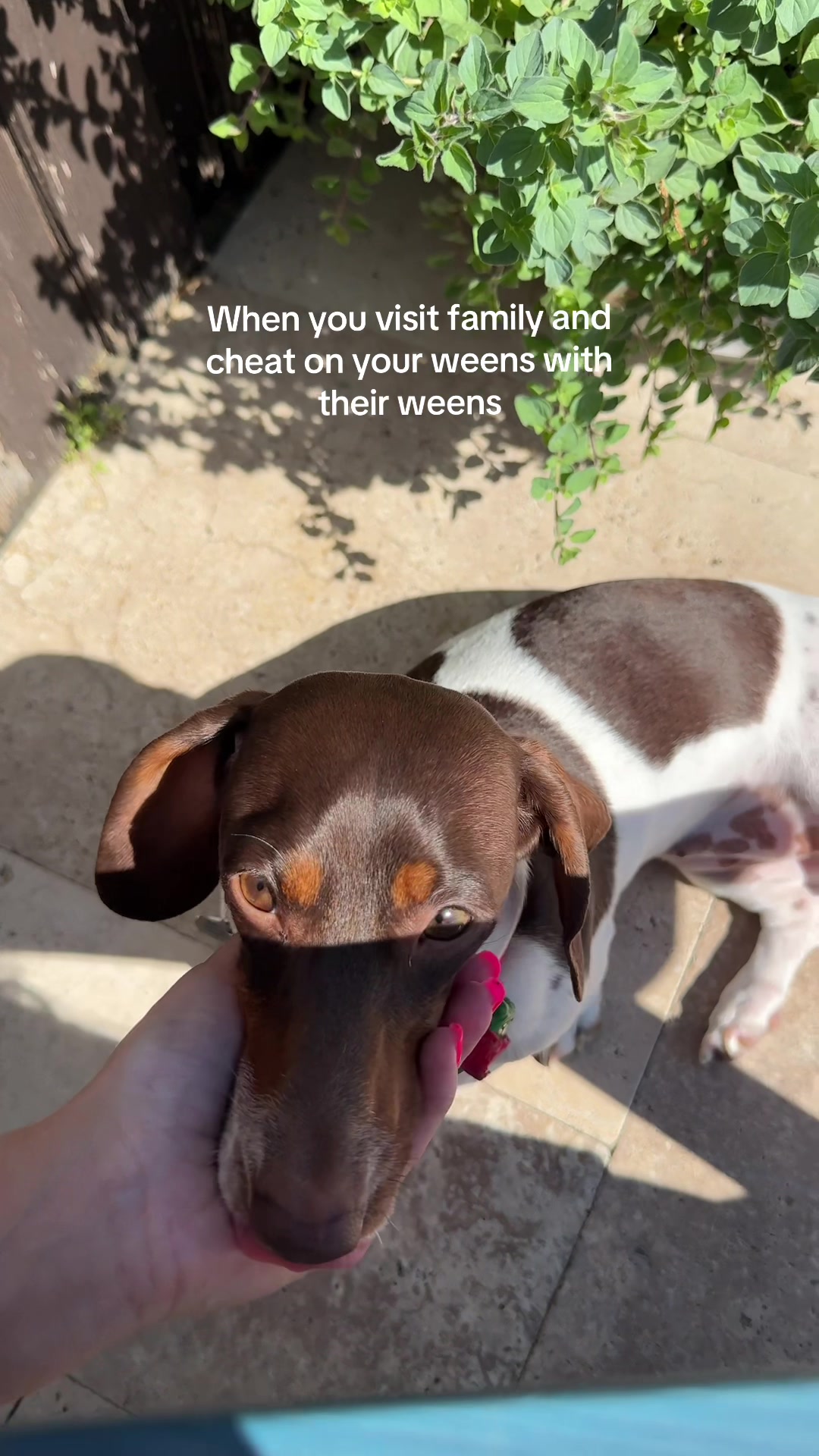@Hazel & Heidi