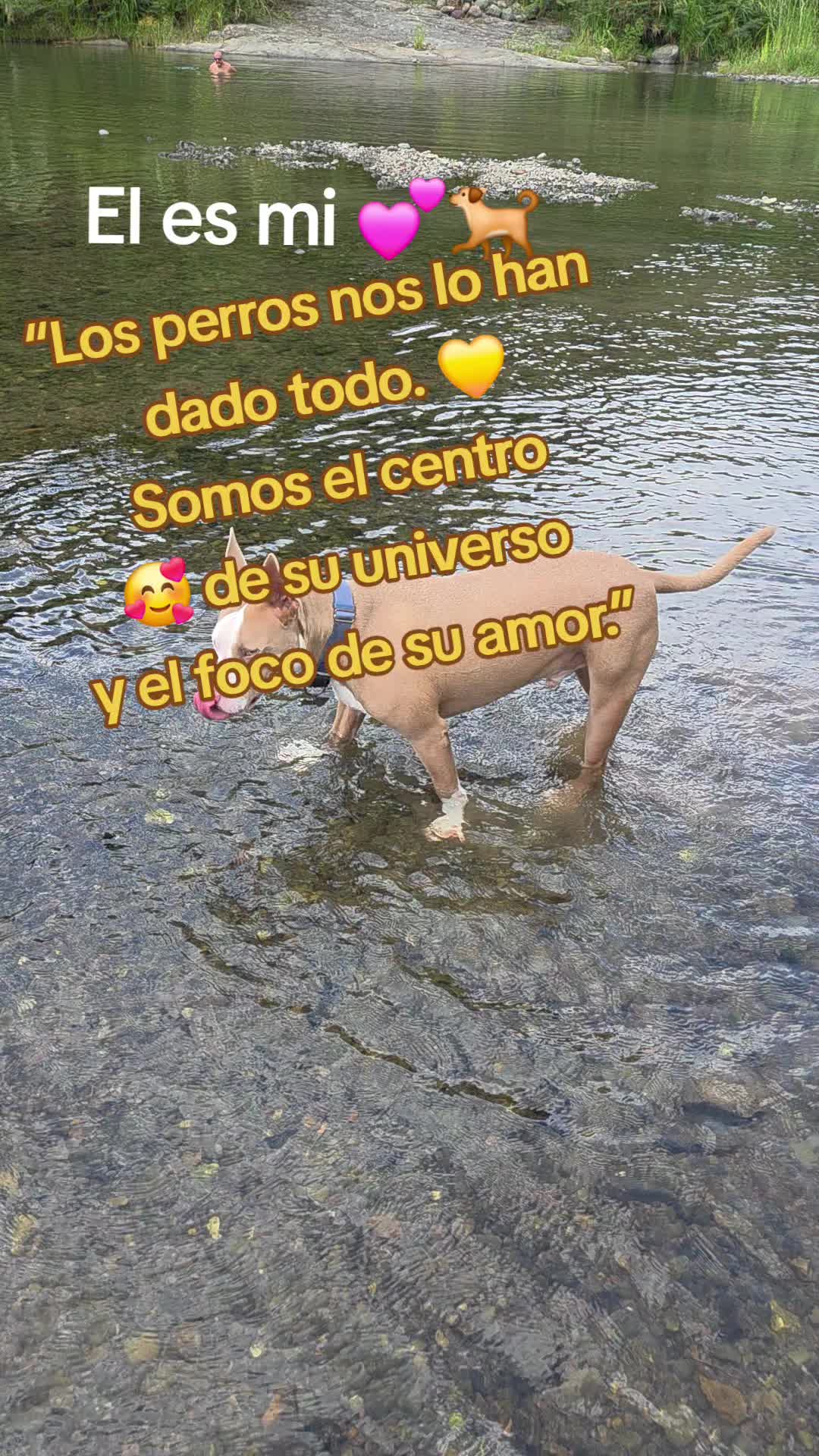 @Pepper✨️💖