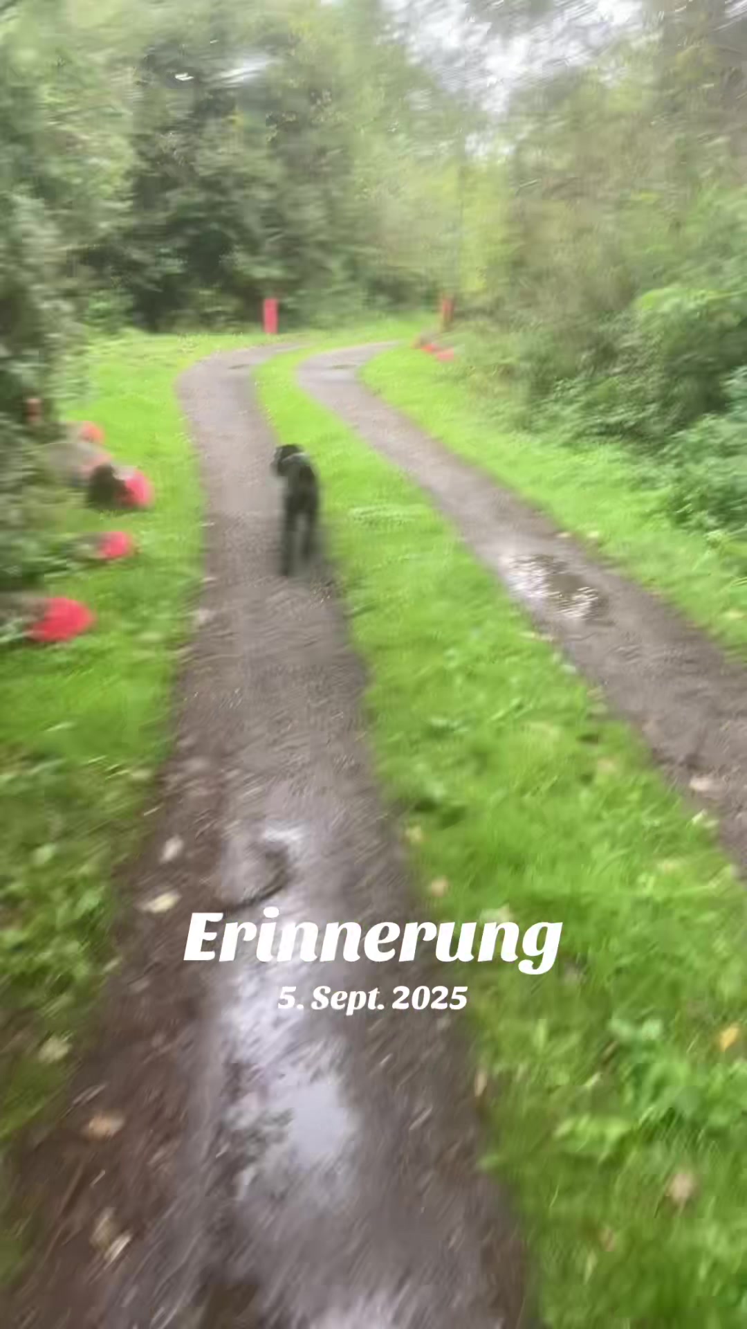 @🐾Dolly❤️Pascha🐾