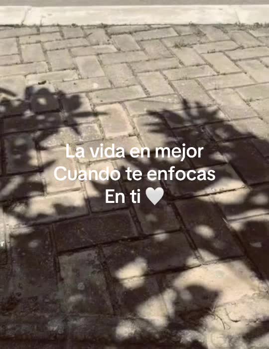 @issaa