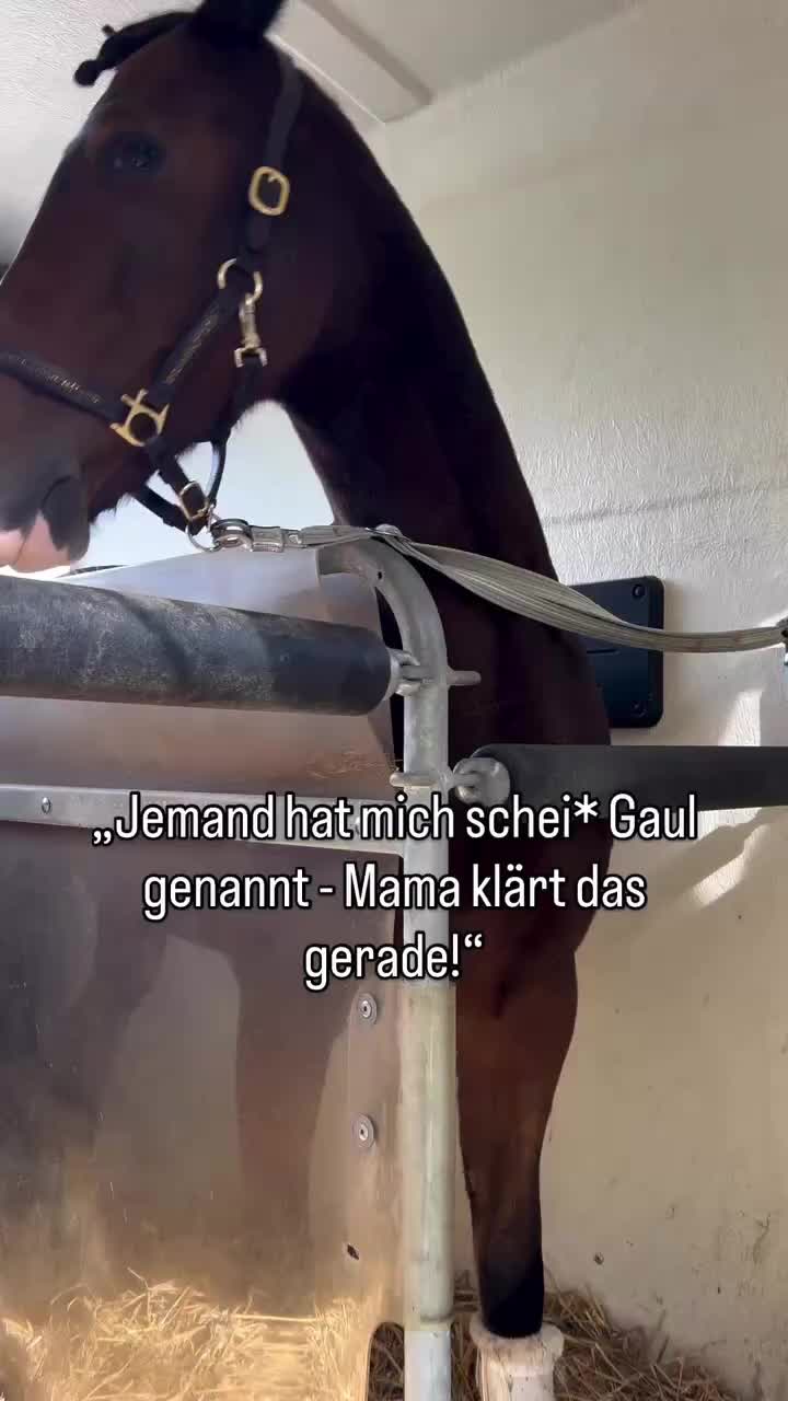 @ne.horses