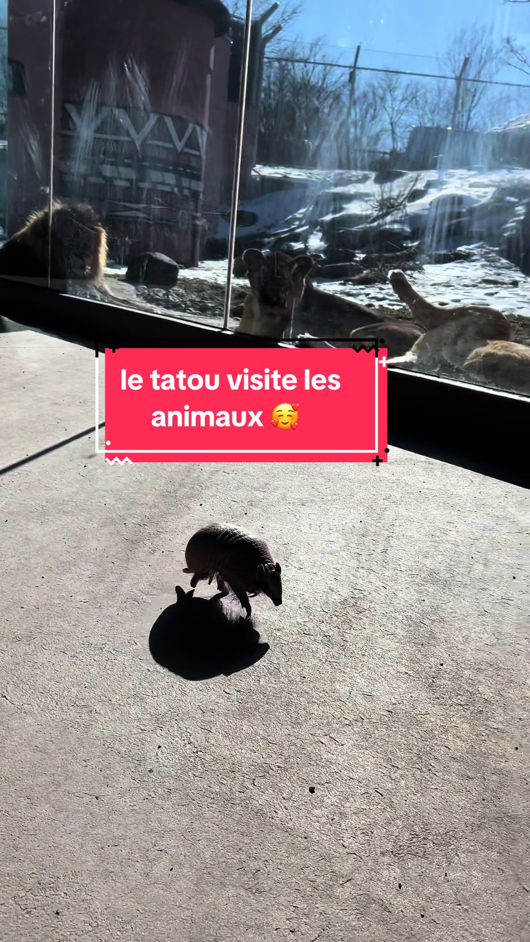 @Zoo de Granby