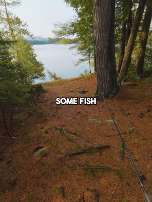@Stef Fish